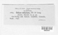 Image Associated With the Occurence